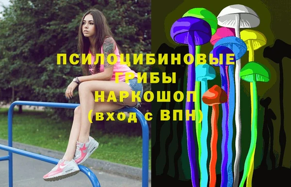 герыч Мегион