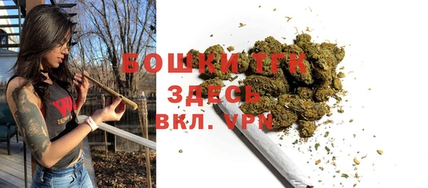 герыч Мегион