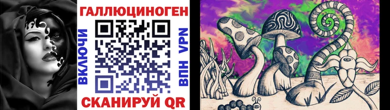 Купить закладки  Сальск  Псилоцибиновые грибы Cubensis 