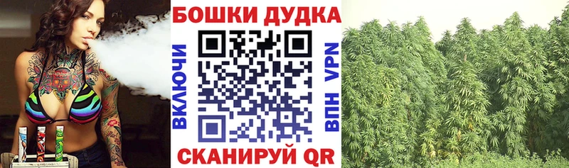 Купить  Сальск  Бошки марихуана THC 21% 